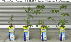 VC Growing Test - Tomatoes - 0 5 10 20 PC - Courtesy Alain Lavanchy  wurmkompost wm  
